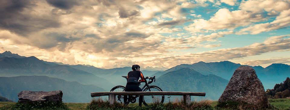 Yeah I Know It's Destroying the Planet - But That Colour is In! - Marcello Bergamo